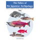 The Fishers of the Japanese Ar