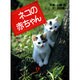 ネコの赤ちゃん(ノン・ポシェット―ノン・ポシェット・ビジュアル) [文庫]
