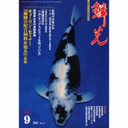 鱗光 2007年9月号 [単行本]