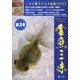 金魚三昧 第2号 [単行本]