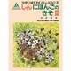 新日本語の基礎〈2 中国語訳〉 [単行本]