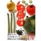 からだが喜ぶおいしい野菜のチカラ(中経の文庫) [文庫]