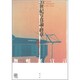 20世紀写真論・終章―無頼派宣言(写真叢書) [全集叢書]
