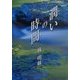 POSTCARD BOOK 潤いの時間 [新書]
