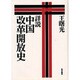 詳説 中国改革開放史 [単行本]
