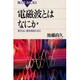 電磁波とはなにか(ブルーバックス) [新書]