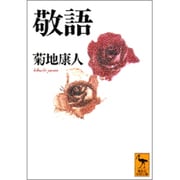 敬語(講談社学術文庫) [文庫]