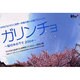 ガリンチョ～桜の木の下で2004 [単行本]