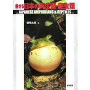 魅せる日本の両生類・爬虫類 [単行本]