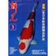 鱗光 2006年3月号 [単行本]