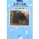 荒神谷遺跡―出雲に埋納された大量の青銅器(日本の遺跡〈44〉) [全集叢書]
