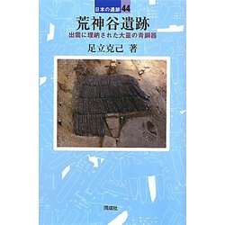 荒神谷遺跡―出雲に埋納された大量の青銅器(日本の遺跡〈44〉) [全集叢書]