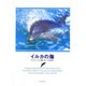 イルカの海(動物写真集) [全集叢書]