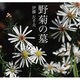 野菊の墓[CD-ROM]