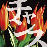 チャンス[CD-ROM]