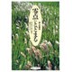 零点にとどまる―神への委託 [単行本]