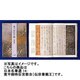 寛平御時后宮歌合 伝宗尊親王筆(日本名筆選〈14〉) [全集叢書]