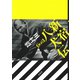 新宿八犬伝(完本) [単行本]