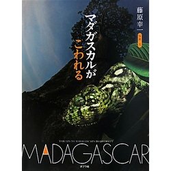 マダガスカルがこわれる [単行本]