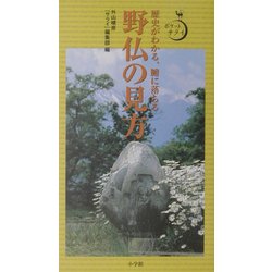 野仏の見方―歴史がわかる、腑に落ちる(ポケットサライ) [全集叢書]