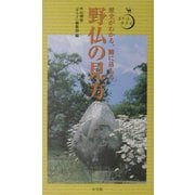 野仏の見方―歴史がわかる、腑に落ちる(ポケットサライ) [全集叢書]
