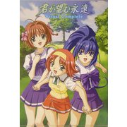 君が望む永遠 VISUAL COMPLETE [単行本]