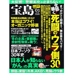 宝島 2013年 01月号 [雑誌]