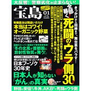 宝島 2013年 01月号 [雑誌]