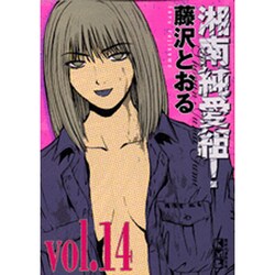 ヨドバシ Com 湘南純愛組 Vol 14 講談社漫画文庫 ふ 5 14 文庫 通販 全品無料配達