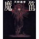 魔笛 [単行本]