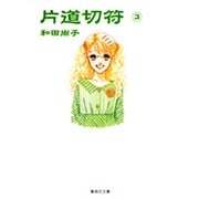 片道切符 3（集英社文庫 わ 10-3） [文庫]