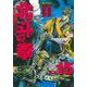 北斗の拳 15(愛蔵版コミックス) [コミック]