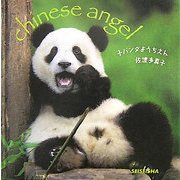 子パンダようちえん―chinese angel(SEISEISHA minibookseries) [単行本]