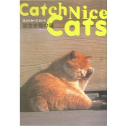 岩合光昭の猫―ポストカードブック [単行本]