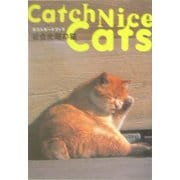 岩合光昭の猫―ポストカードブック [単行本]