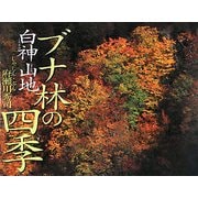 ブナ林の四季・白神山地(そうえんしゃ・写真のえほん) [絵本]
