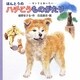 ほんとうのハチこうものがたり(ミニえほん) [絵本]