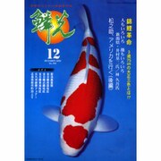 鱗光 12 [単行本]