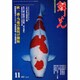 鱗光 2007年11月号 [単行本]