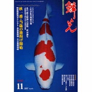 鱗光 2007年11月号 [単行本]