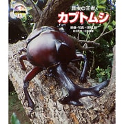 昆虫の王者カブトムシ [図鑑]