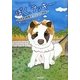 ぼく、ラッキー―昭和的雑種犬ワンコの物語 [単行本]