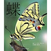 蝶/BUTTERFLY [単行本]