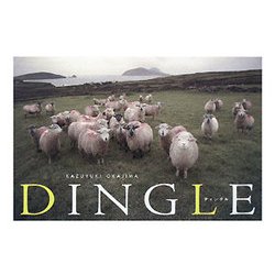 DINGLE [単行本]