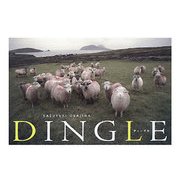 DINGLE [単行本]