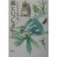 風といっしょに 新装版 [単行本]