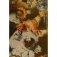 禁断の知識〈下〉好奇心とタブー [単行本]