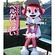 バファローベル公式フォトブック ベルがいっぱい [単行本]
