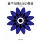 量子物理化学の基礎 [単行本]