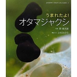 うまれたよ!オタマジャクシ(よみきかせいきものしゃしんえほん〈2〉) [絵本]